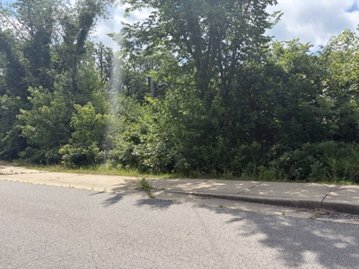 Buildable Lot in Birch Tree Missouri | Missouri Ozarks - image 6