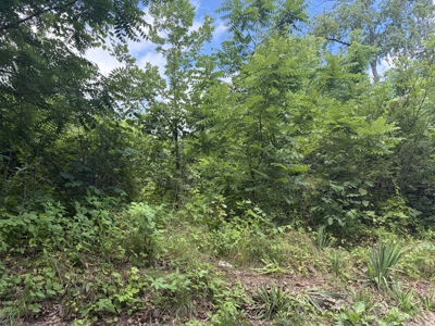Buildable Lot in Birch Tree Missouri | Missouri Ozarks - image 12