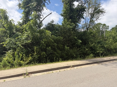 Buildable Lot in Birch Tree Missouri | Missouri Ozarks - image 4
