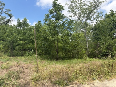 Buildable Lot in Birch Tree Missouri | Missouri Ozarks - image 7