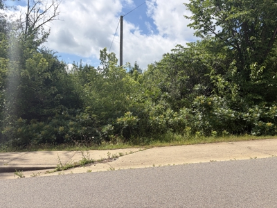 Buildable Lot in Birch Tree Missouri | Missouri Ozarks - image 5