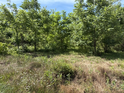 Buildable Lot in Birch Tree Missouri | Missouri Ozarks - image 8
