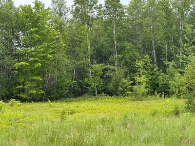 3 Bedroom Ranch Home on 2 Acres - Wesley, Maine - image 13