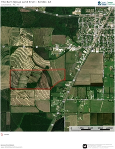 240 +/- Acre Farm for Sale in Kinder, LA - image 3