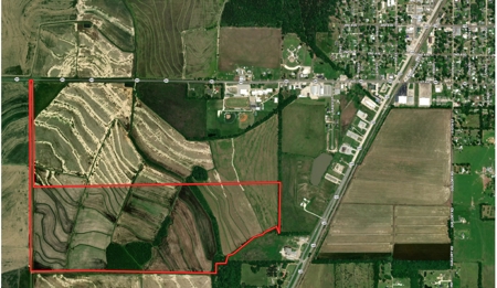 240 +/- Acre Farm for Sale in Kinder, LA - image 2