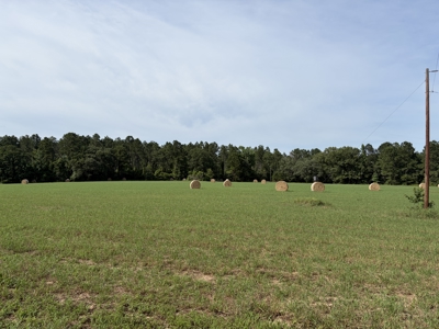 East Texas Land For Sale in McLeod, Texas - image 2