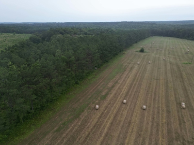 East Texas Land For Sale in McLeod, Texas - image 7