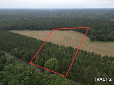 East Texas Land For Sale in McLeod, Texas - image 6