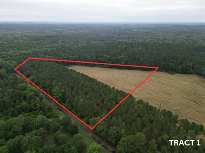 East Texas Land For Sale in McLeod, Texas - image 1