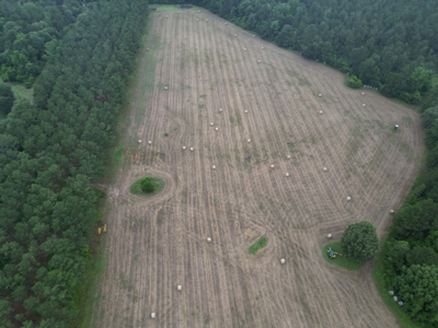 East Texas Land For Sale in McLeod, Texas - image 8