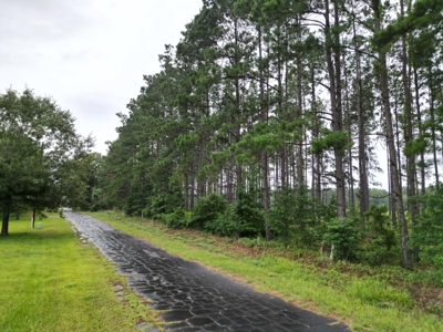 East Texas Land For Sale in McLeod, Texas - image 3