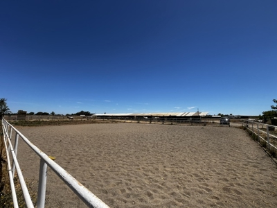 Horse or Event Property in Winters with Income Potential - image 12