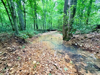 Creek, Hardwood, & a Yurt Near the Tennessee River For Sale - image 20