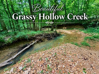 Creek, Hardwood, & a Yurt Near the Tennessee River For Sale - image 1