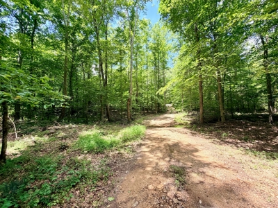 Creek, Hardwood, & a Yurt Near the Tennessee River For Sale - image 33