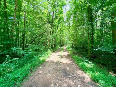 Creek, Hardwood, & a Yurt Near the Tennessee River For Sale - image 25