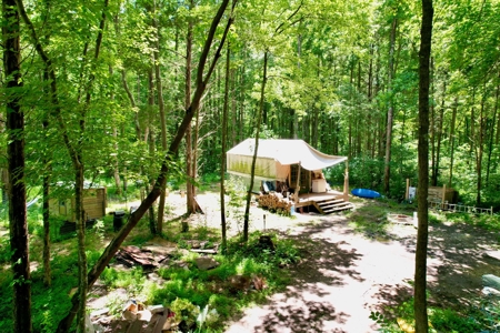 Creek, Hardwood, & a Yurt Near the Tennessee River For Sale - image 23