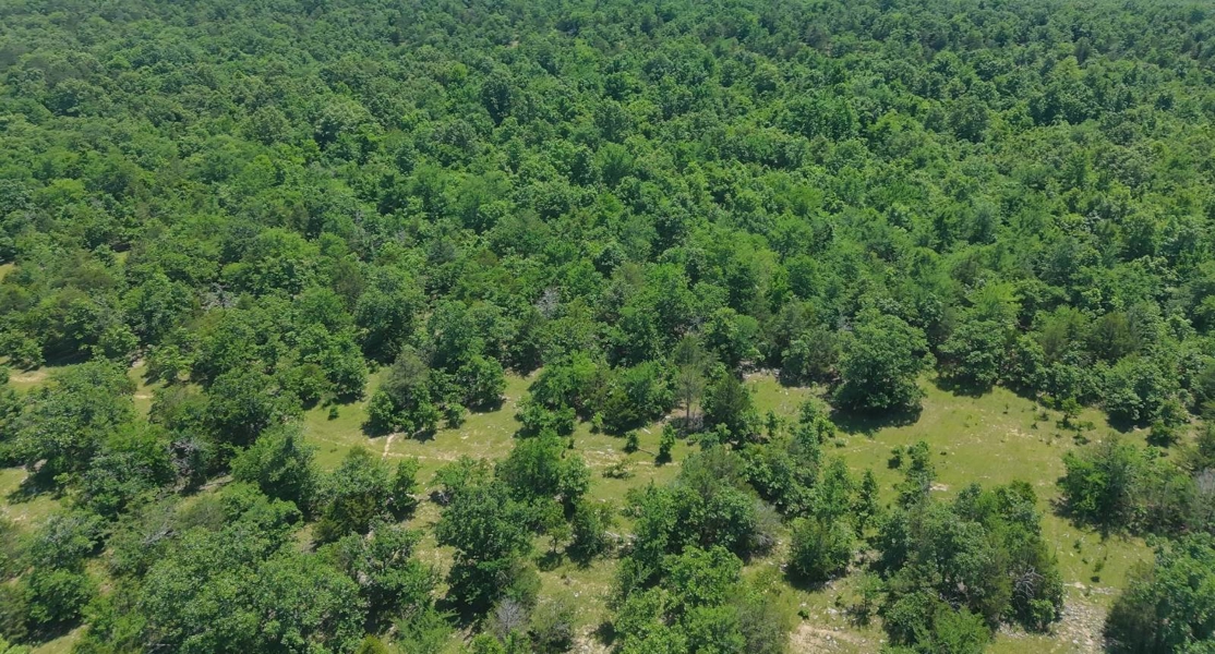 No Caption
