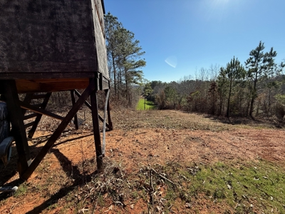 Incredible opportunity in Moundville! - image 25