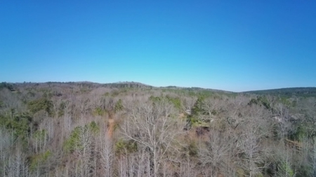Incredible opportunity in Moundville! - image 21