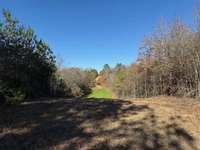 Incredible opportunity in Moundville! - image 12