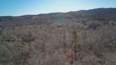 Incredible opportunity in Moundville! - image 16