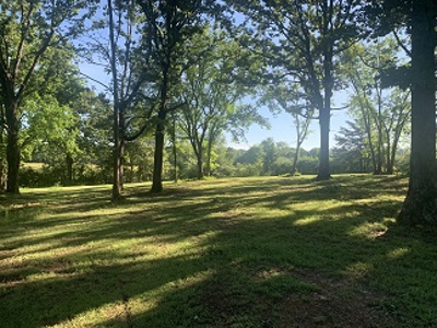 New Construction!  Two Bedroom One Bath on Gorgeous 2.2 Acres! - image 3
