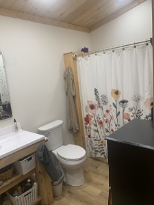 New Construction!  Two Bedroom One Bath on Gorgeous 2.2 Acres! - image 9