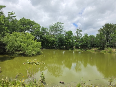 104+/- Acres Of Prime Farmland For Sale - image 19