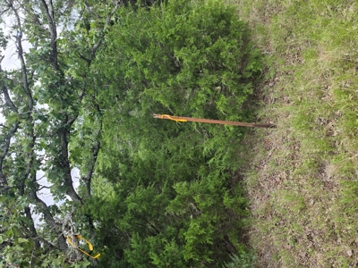 104+/- Acres Of Prime Farmland For Sale - image 35