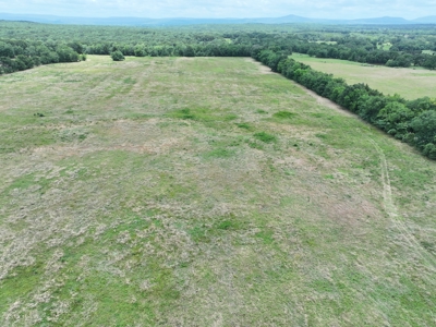 104+/- Acres Of Prime Farmland For Sale - image 4