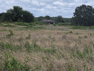 104+/- Acres Of Prime Farmland For Sale - image 25