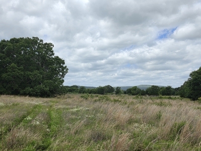104+/- Acres Of Prime Farmland For Sale - image 30