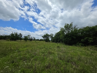 104+/- Acres Of Prime Farmland For Sale - image 38