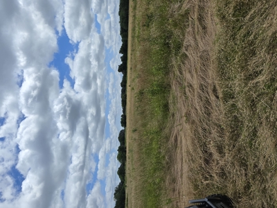 104+/- Acres Of Prime Farmland For Sale - image 13