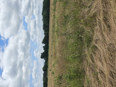104+/- Acres Of Prime Farmland For Sale - image 15