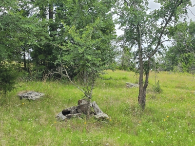 104+/- Acres Of Prime Farmland For Sale - image 42