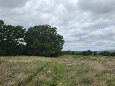 104+/- Acres Of Prime Farmland For Sale - image 31