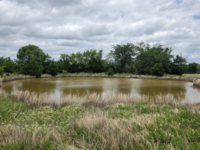 104+/- Acres Of Prime Farmland For Sale - image 33