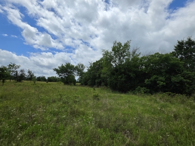 104+/- Acres Of Prime Farmland For Sale - image 39