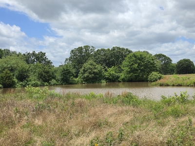 104+/- Acres Of Prime Farmland For Sale - image 26