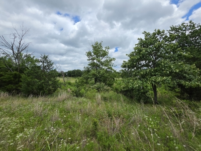 104+/- Acres Of Prime Farmland For Sale - image 37