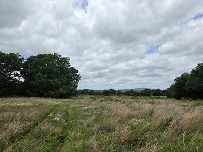 104+/- Acres Of Prime Farmland For Sale - image 29