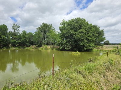 104+/- Acres Of Prime Farmland For Sale - image 20