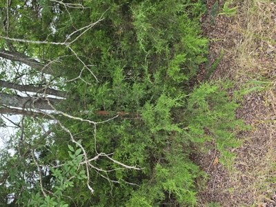 104+/- Acres Of Prime Farmland For Sale - image 12