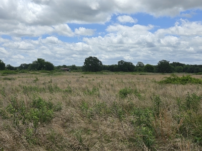 104+/- Acres Of Prime Farmland For Sale - image 24