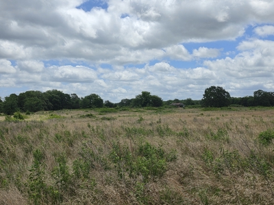104+/- Acres Of Prime Farmland For Sale - image 23