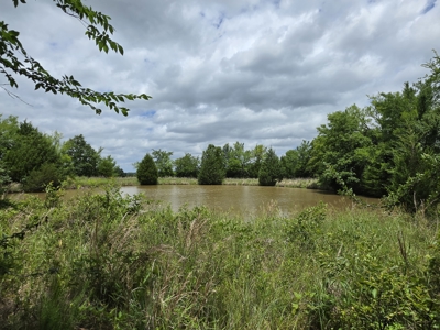 104+/- Acres Of Prime Farmland For Sale - image 34