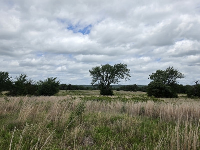 104+/- Acres Of Prime Farmland For Sale - image 32
