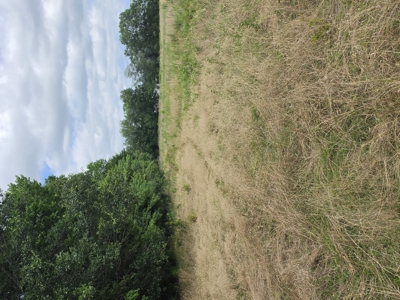 104+/- Acres Of Prime Farmland For Sale - image 18